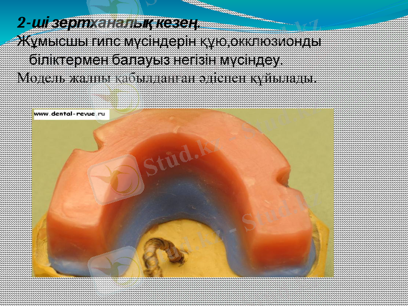 Slide 7