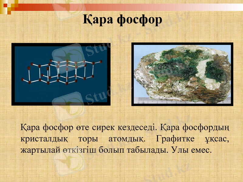 Slide 11