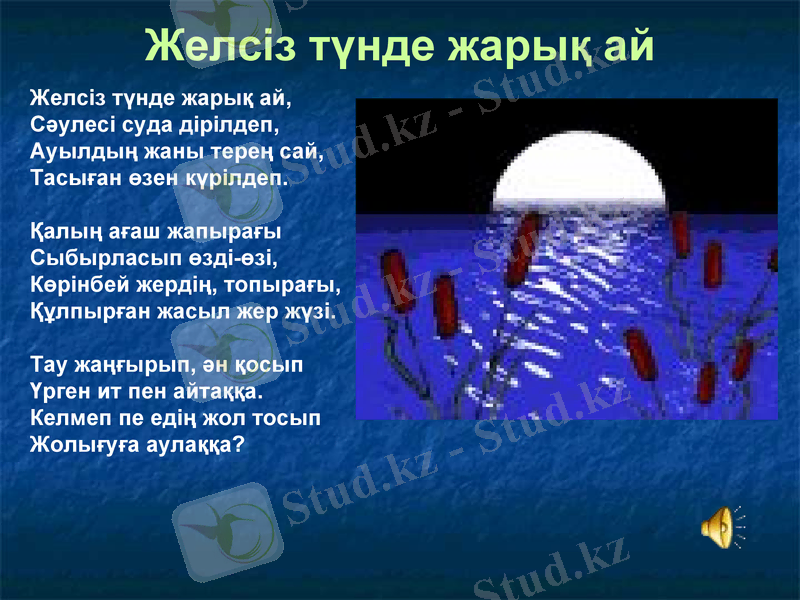 Slide 7