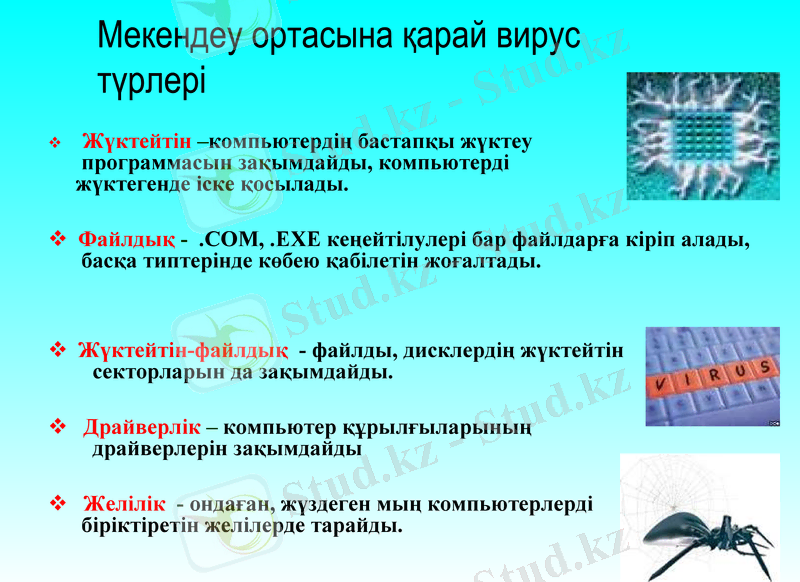 Slide 21