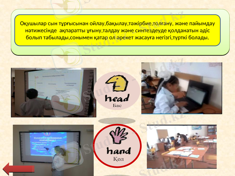 Slide 7