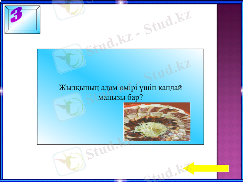 Slide 10