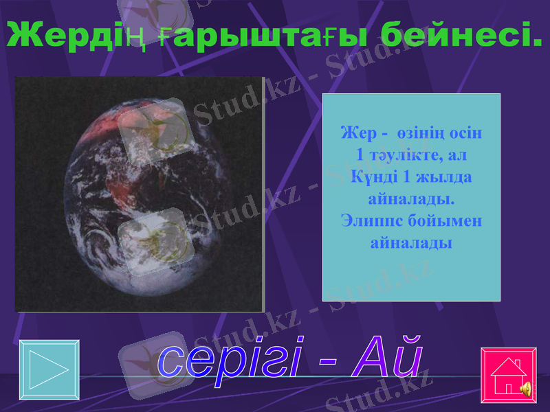 Slide 12
