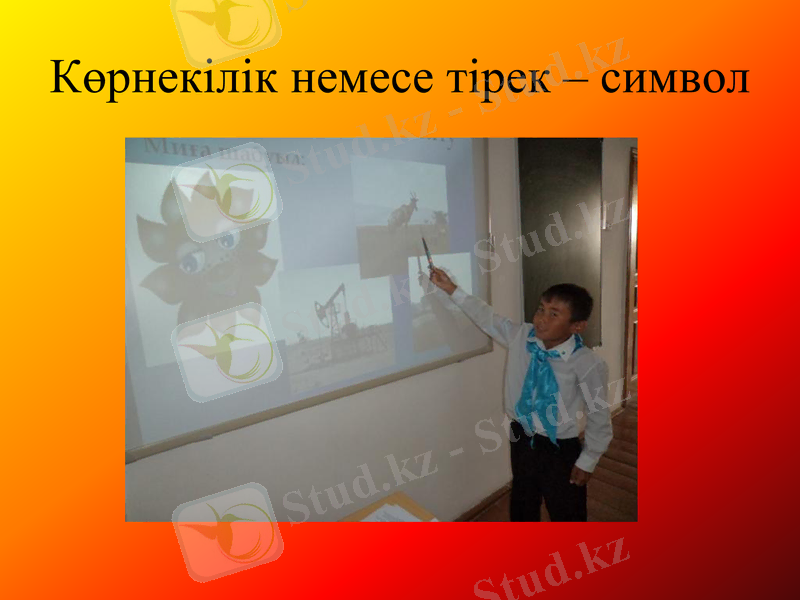 Slide 11