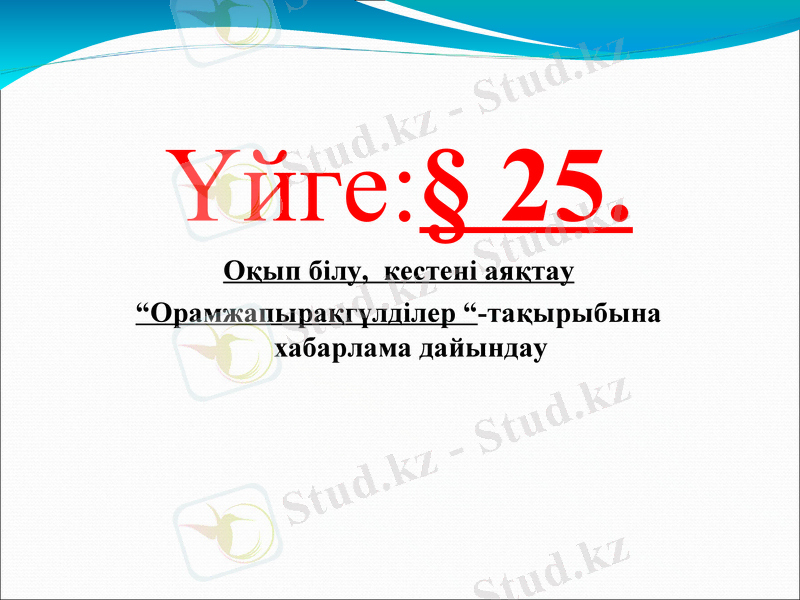Slide 24