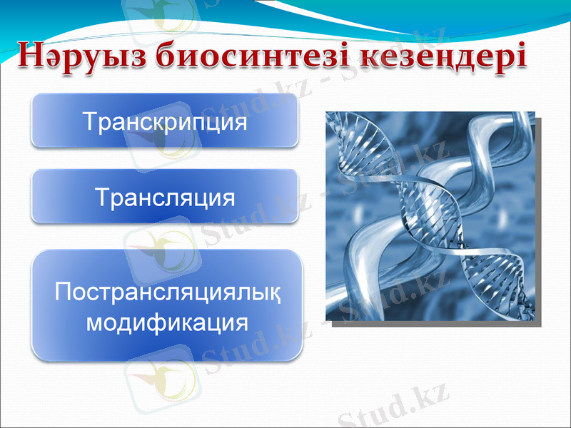 Slide 20
