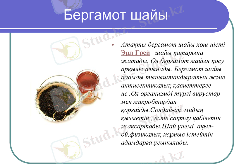 Slide 17