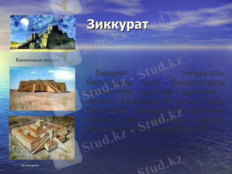 Slide 12