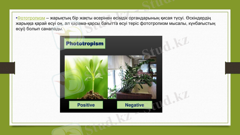Slide 14