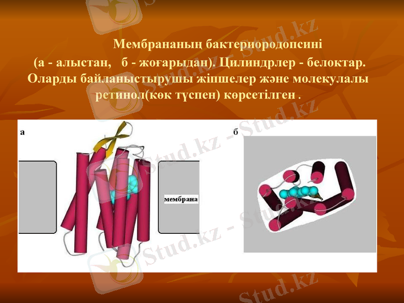 Slide 7