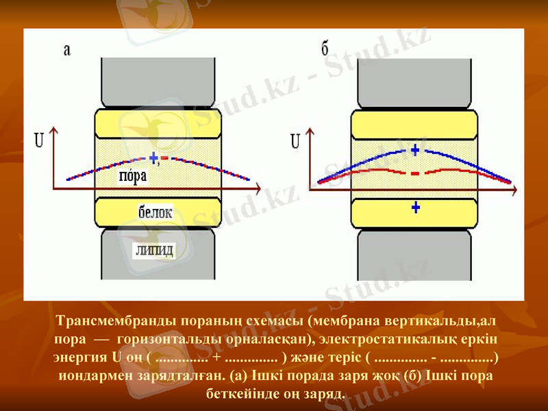 Slide 9