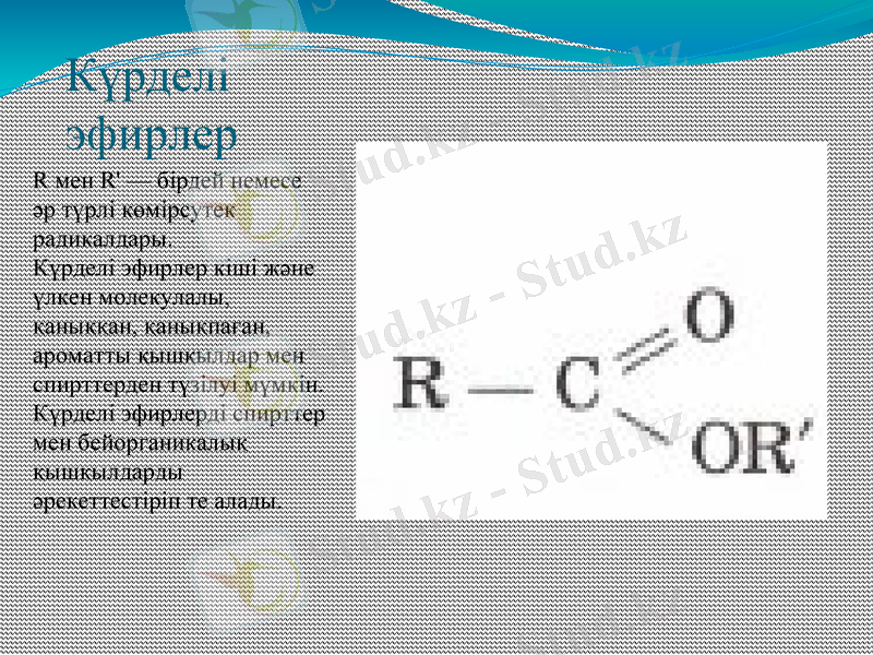 Slide 13