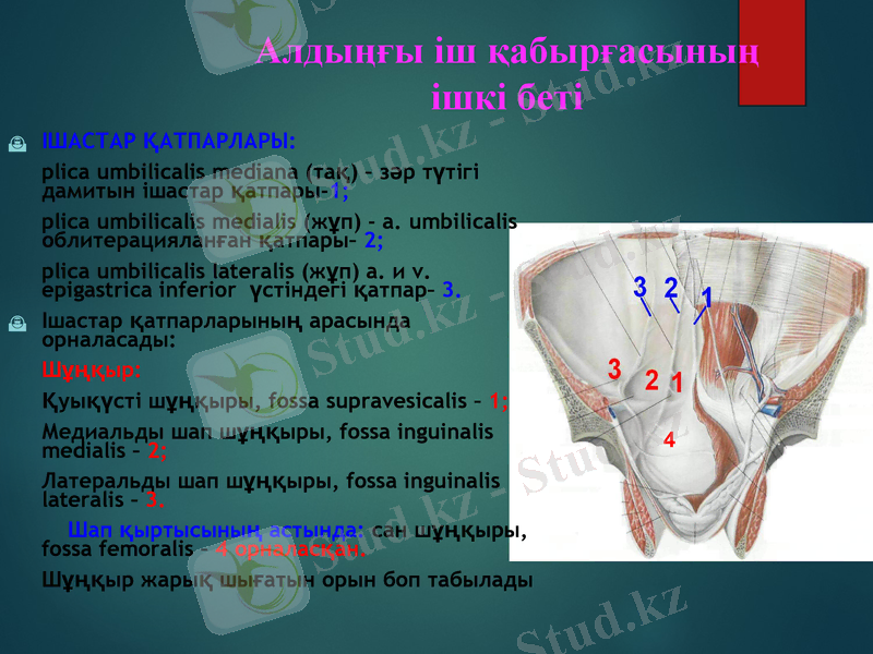 Slide 25