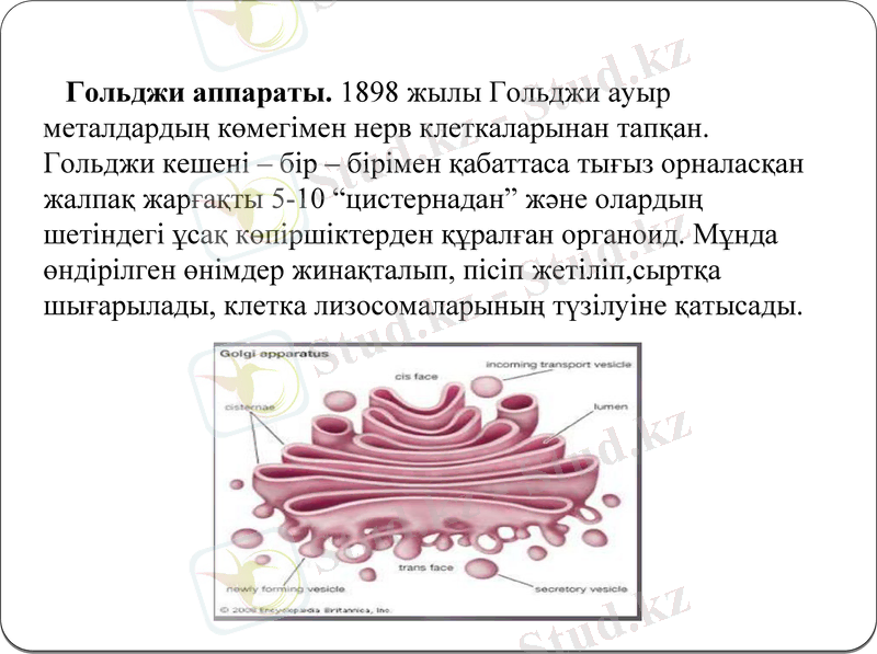 Slide 9