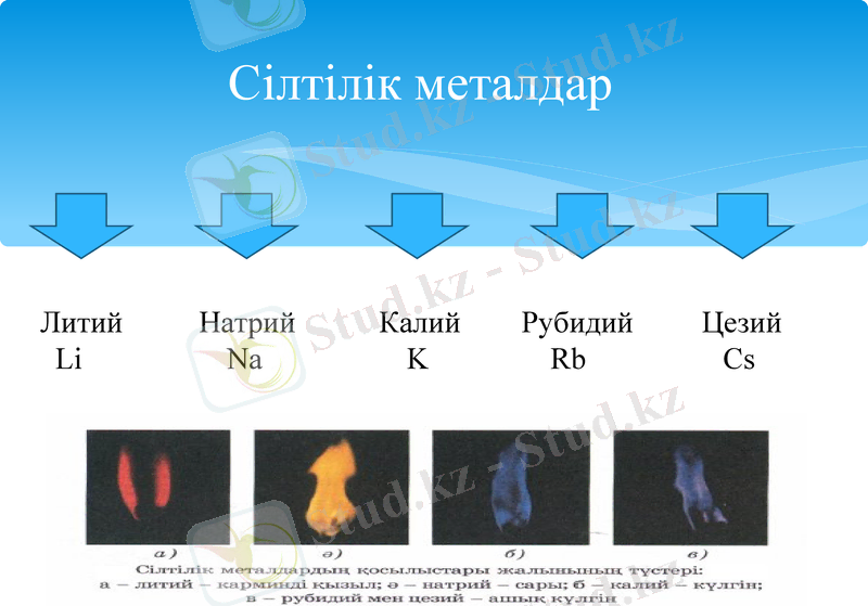 Slide 6