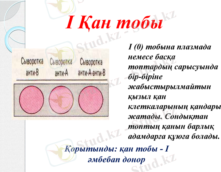 Slide 14