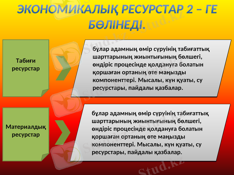 Slide 7