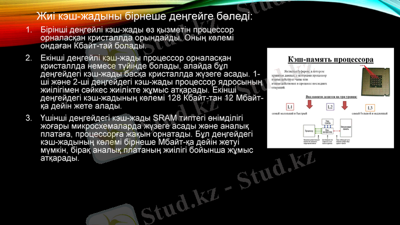 Slide 11