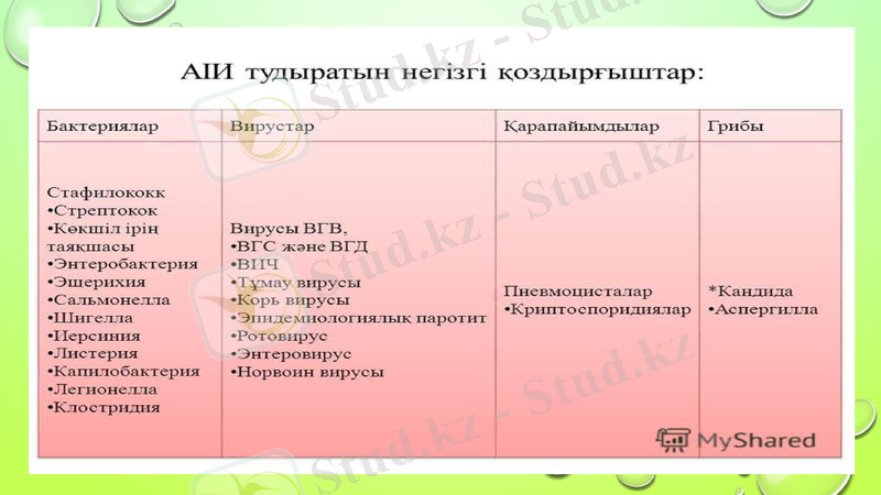 Slide 9