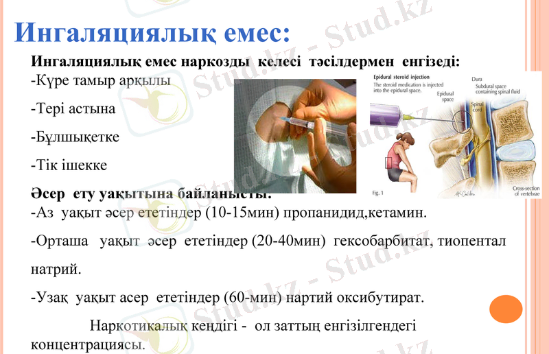 Slide 13