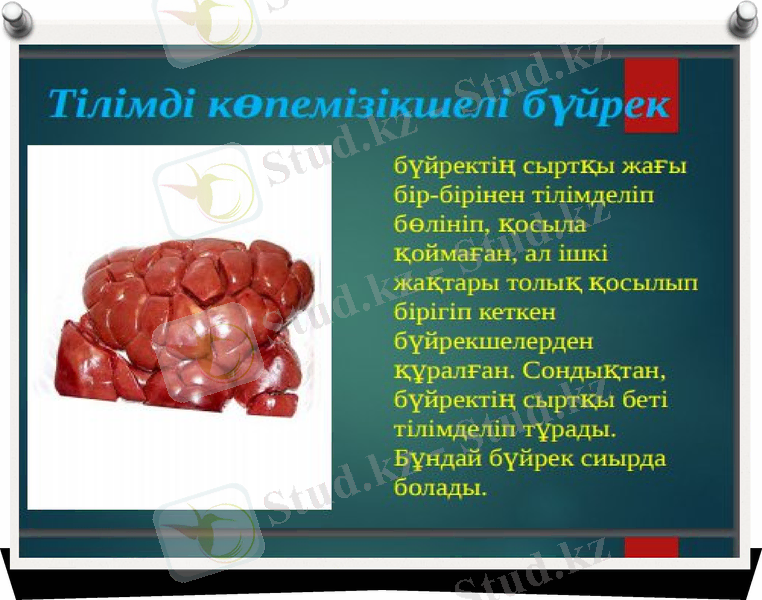 Slide 6