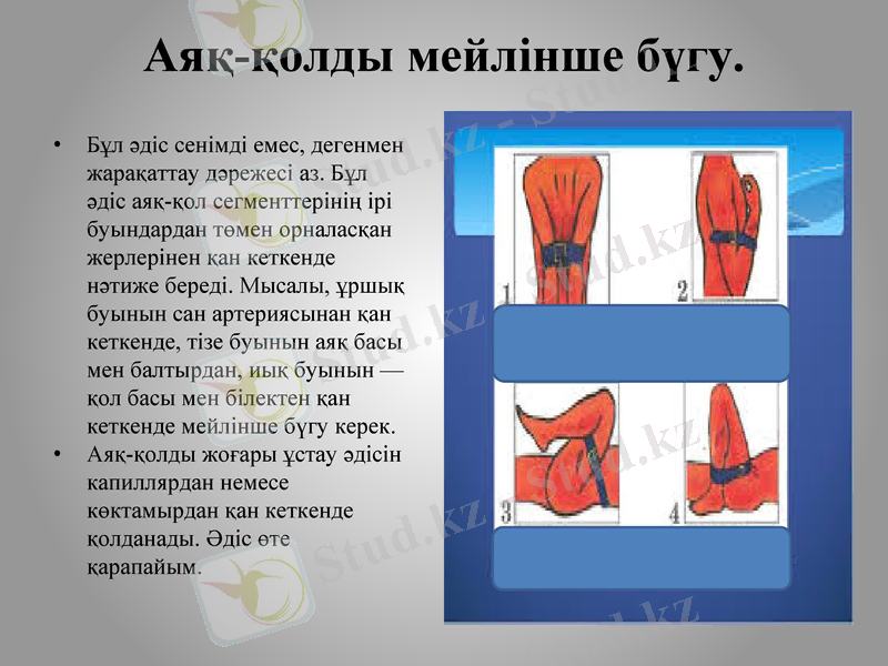 Slide 11