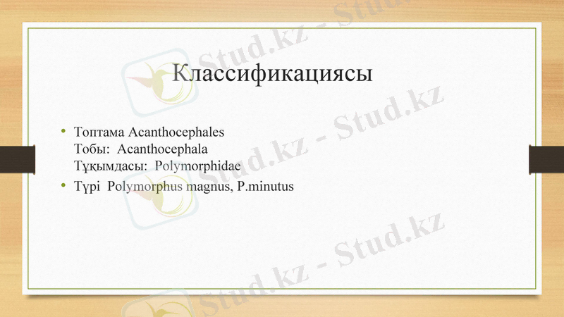 Slide 17