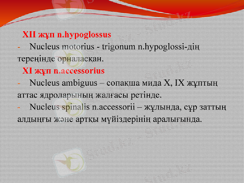 Slide 11