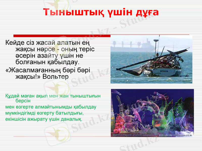 Slide 7