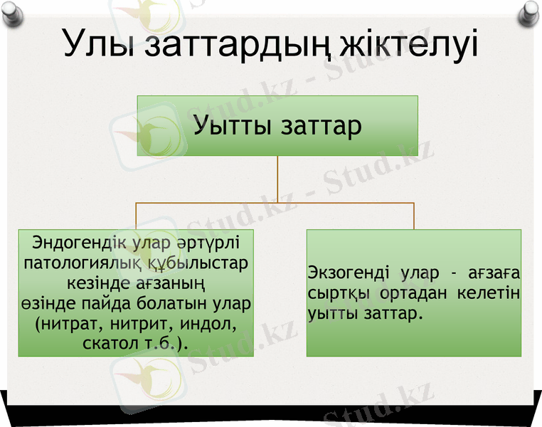 Slide 7