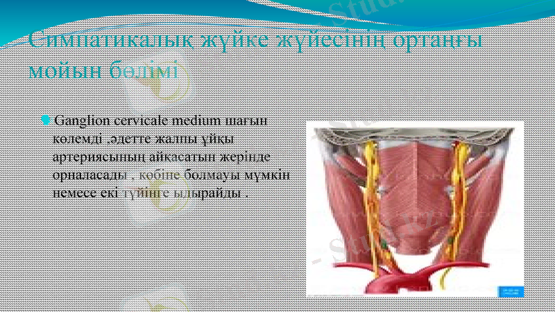 Slide 12