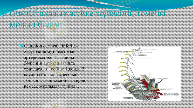 Slide 13