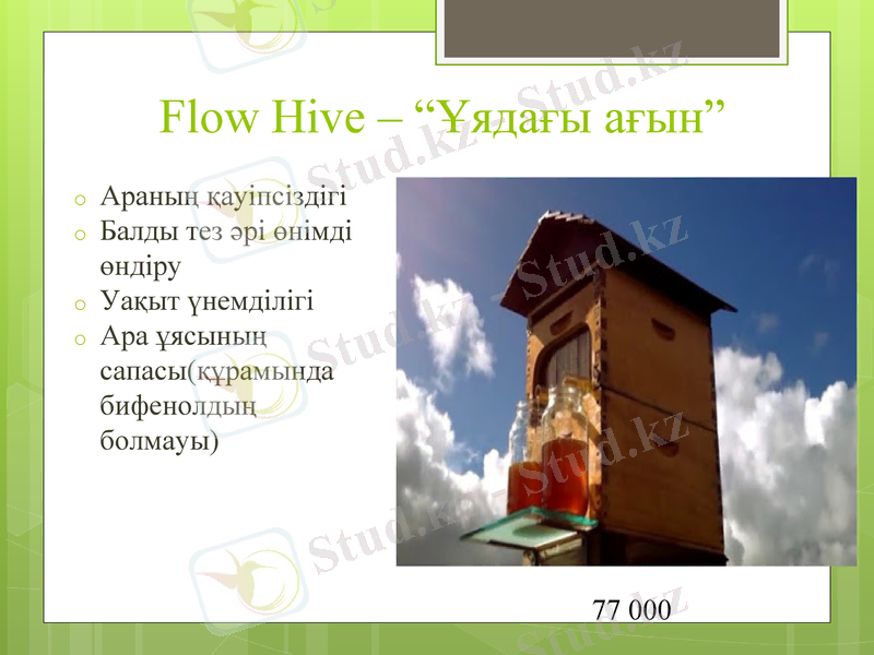 Slide 7