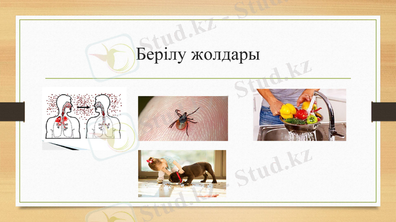 Slide 15