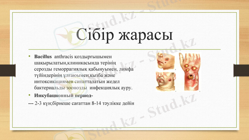 Slide 7