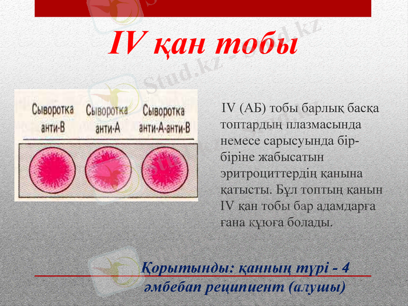 Slide 8