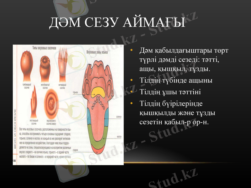 Slide 15