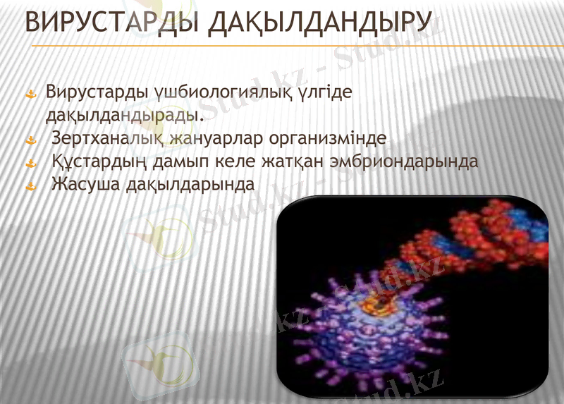 Slide 9