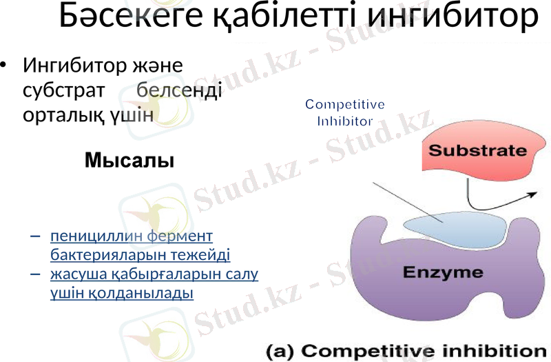 Slide 14