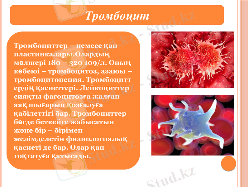 Slide 14