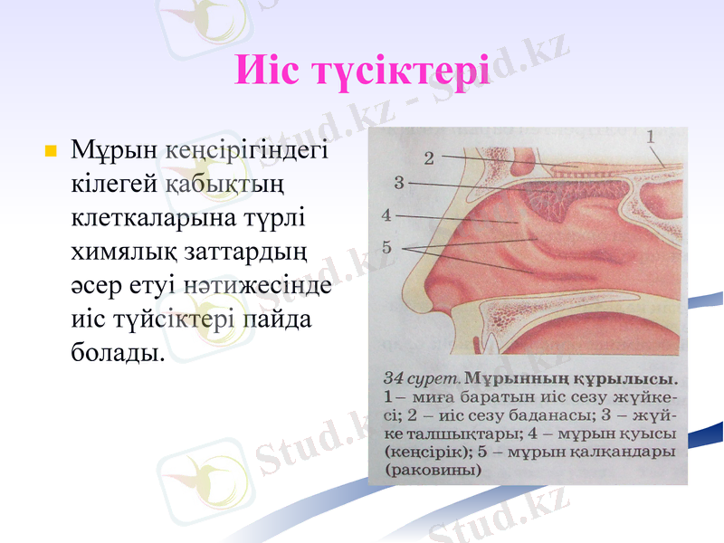 Slide 19