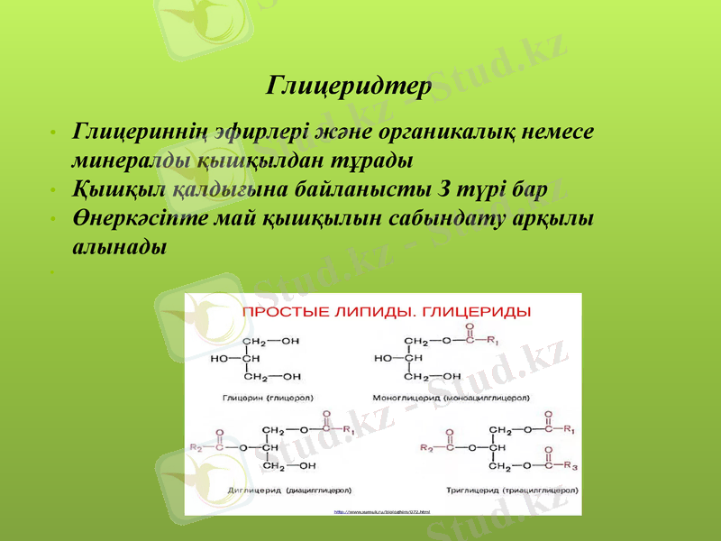 Slide 9