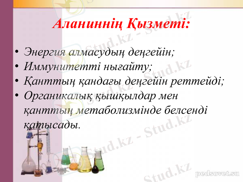 Slide 7