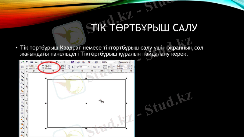 Slide 11