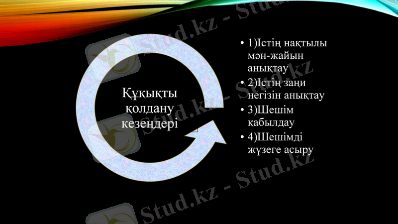 Slide 8