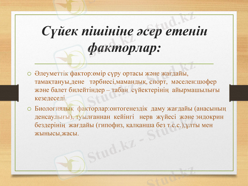 Slide 17