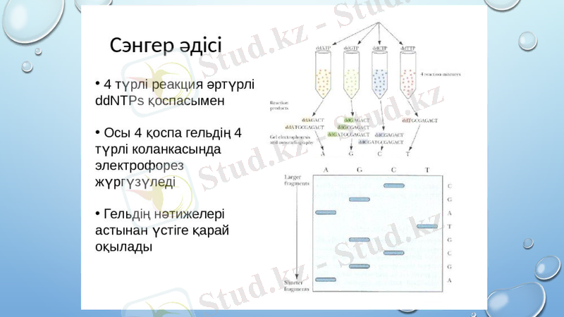 Slide 9