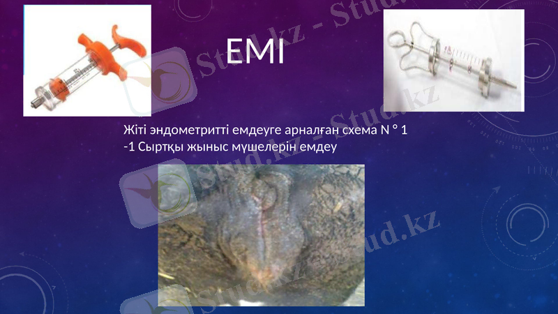 Slide 11