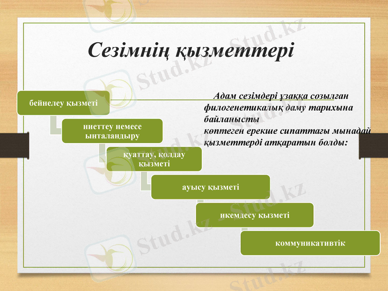 Slide 11