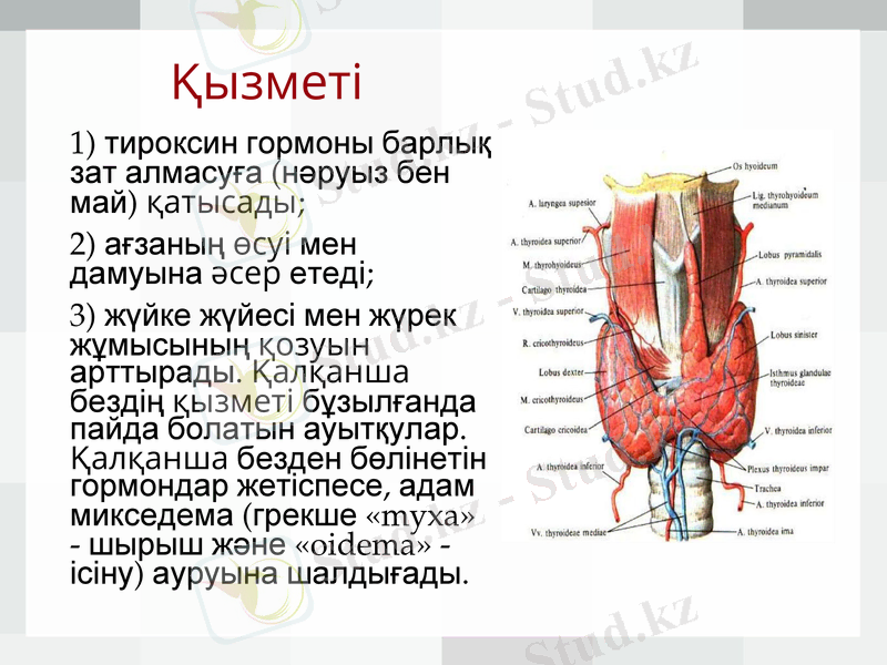 Slide 9